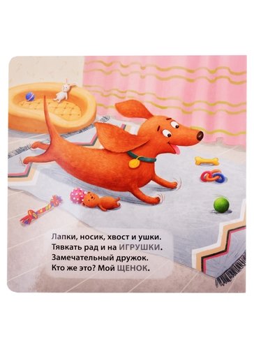 Книга - картонки Домашние животные. Загадки - рифмы Робинс - миниатюра 5