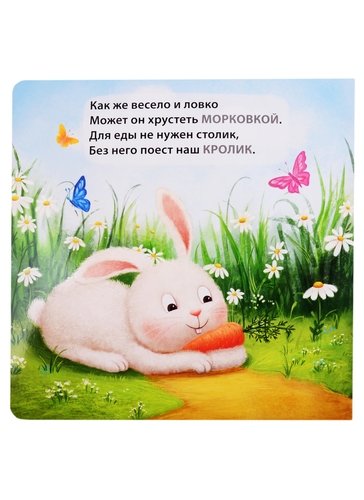 Книга - картонки Домашние животные. Загадки - рифмы Робинс - миниатюра 7