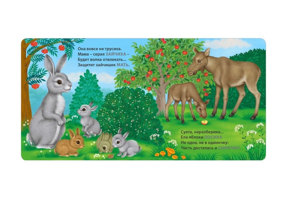 Книга - картонки Мамы и малыши. Дикие животные. Загадки - рифмы - миниатюра 4