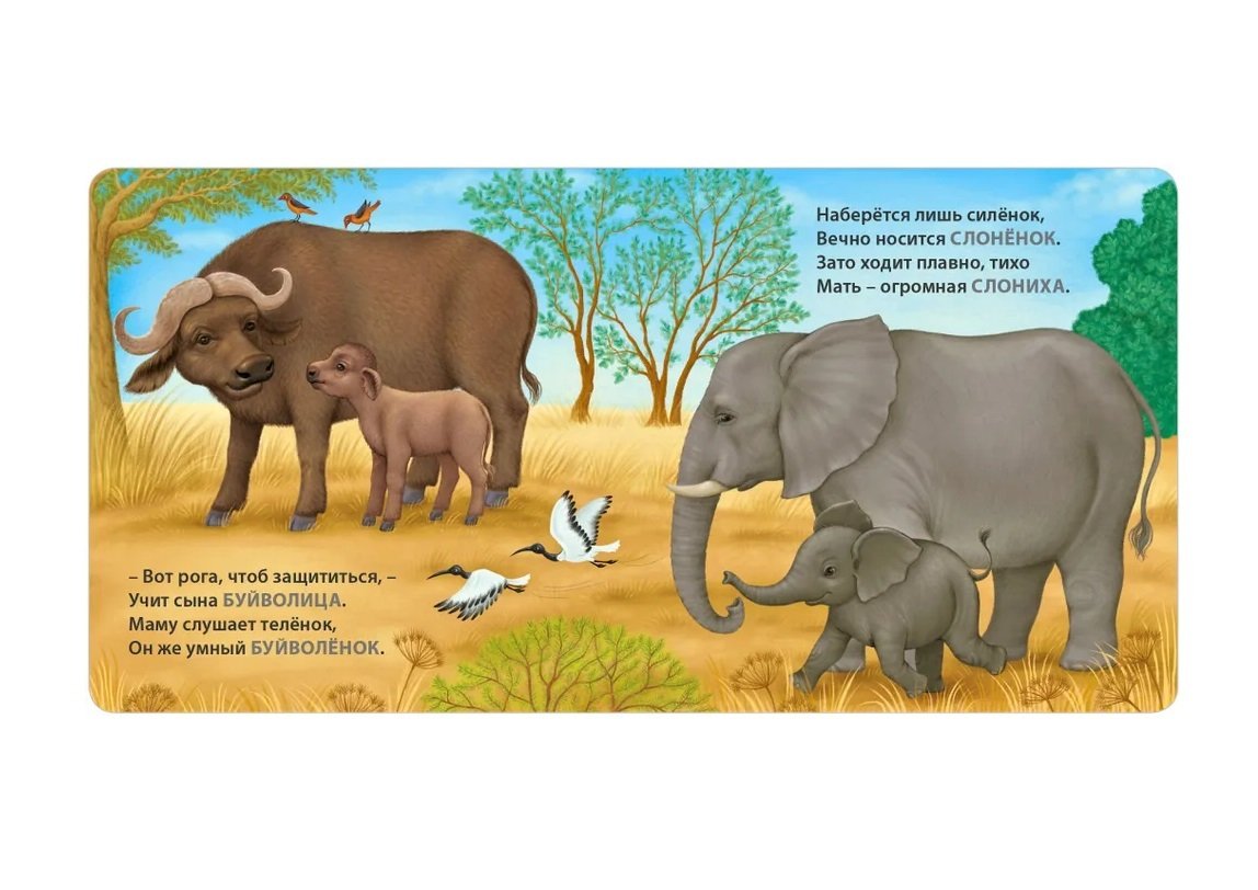 Книга - картонки Мамы и малыши. Дикие животные. Загадки - рифмы - миниатюра 5