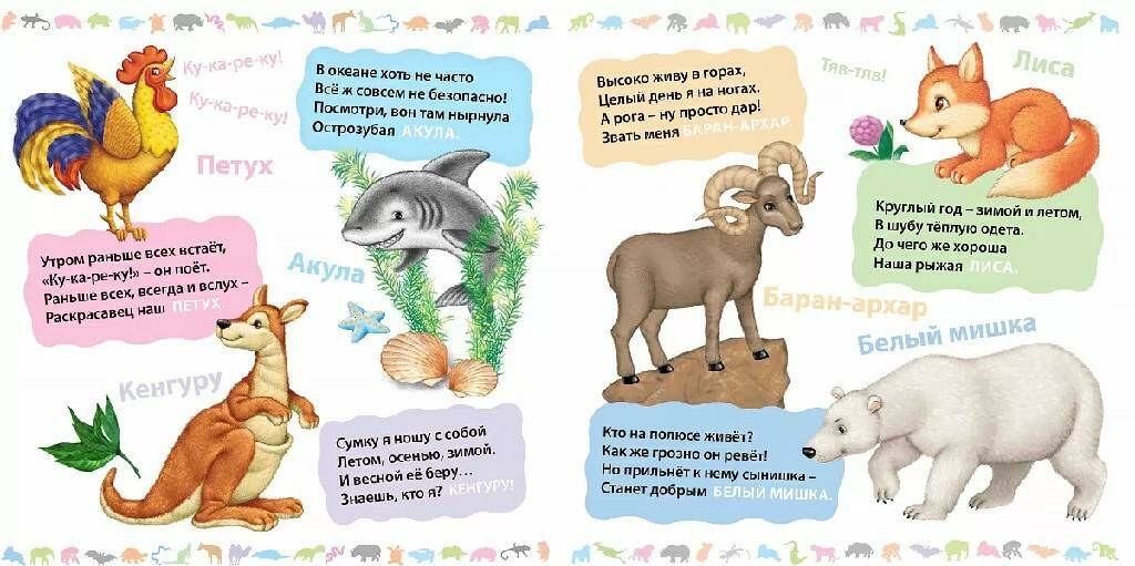 Книга Загадки о животных - миниатюра 3