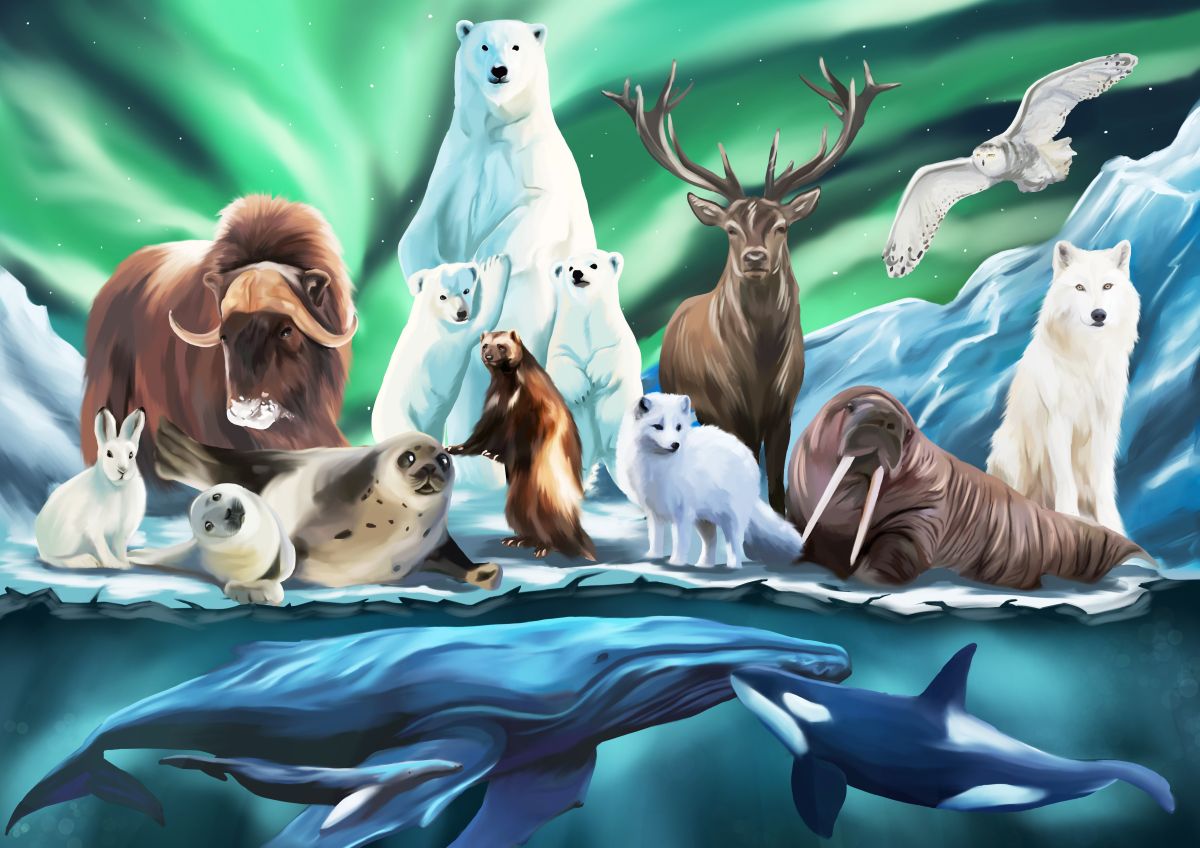 Пазл деревянный Животные Севера 80 дет. Collection Animals - миниатюра 2