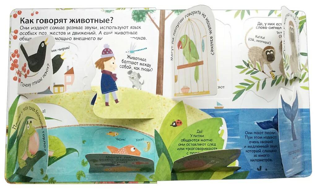 Книга 40 окошек Как говорят животные - фото 1