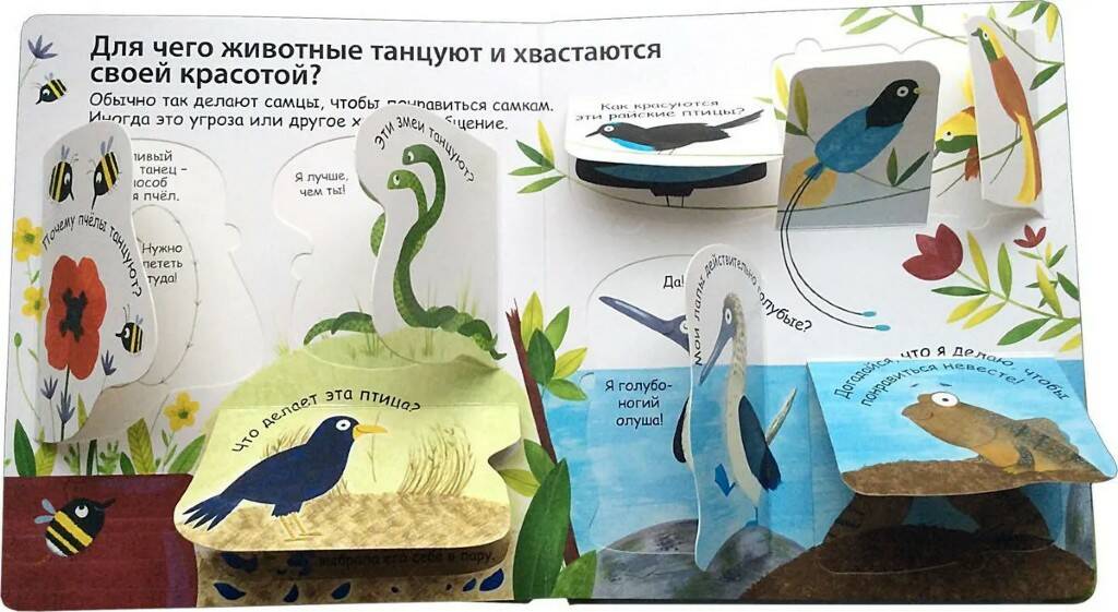 Книга 40 окошек Как говорят животные - миниатюра 2