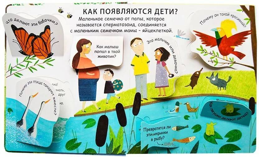 Книга 40 окошек Откуда берутся дети - миниатюра 2