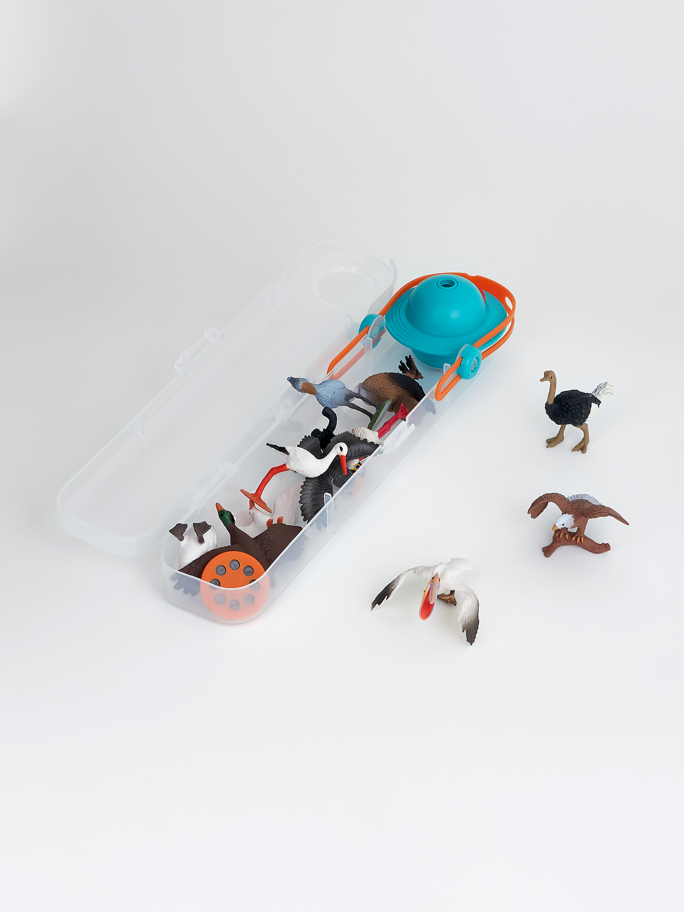 Животные набор Птицы 12шт с проектором - миниатюра 2