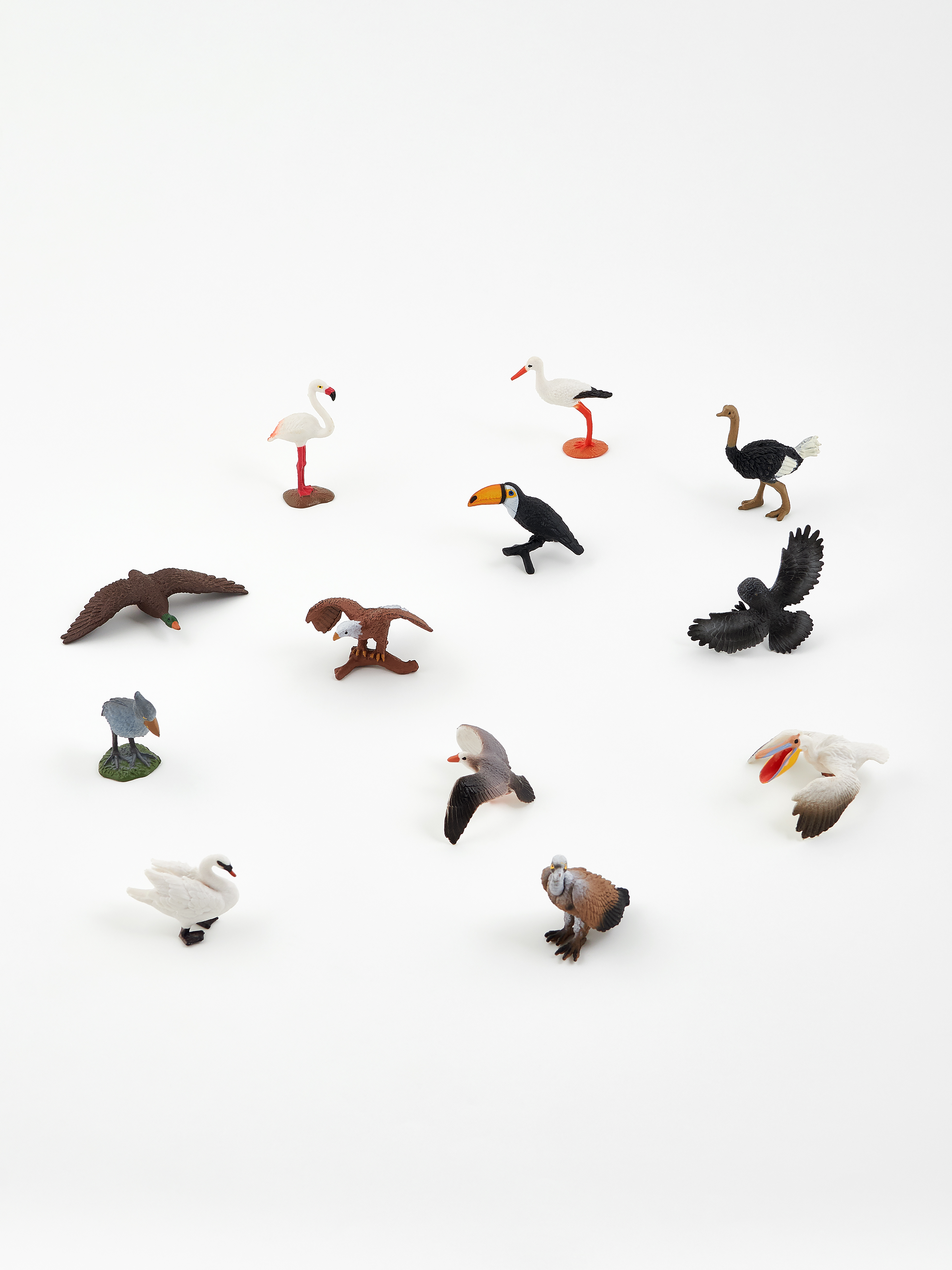 Животные набор Птицы 12шт с проектором - миниатюра 3