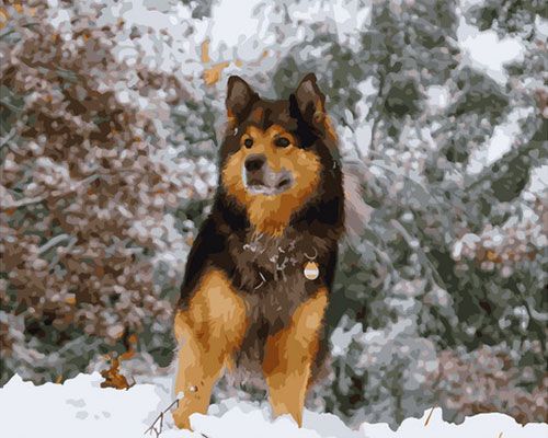 Картина по номерам 40*50 Зимняя прогулка - фото 1