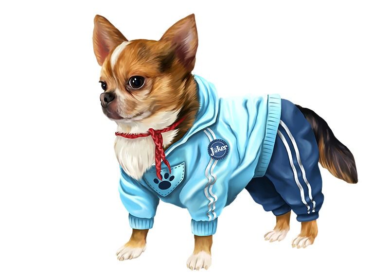 Пазл деревянный Джокер 97 дет. Collection Animals - миниатюра 2