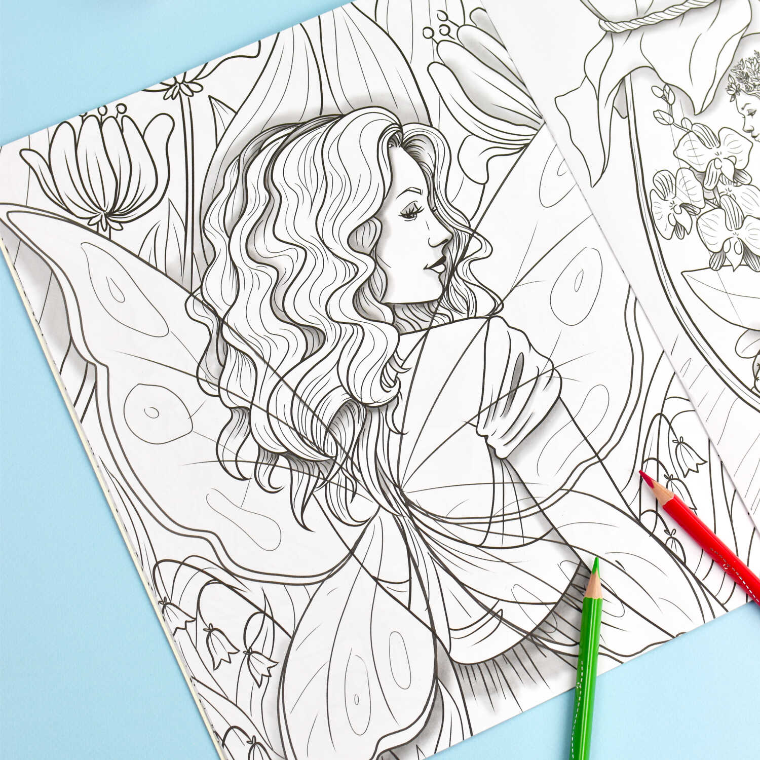 Раскраска Фэнтези Феи и эльфы Феникс - миниатюра 2