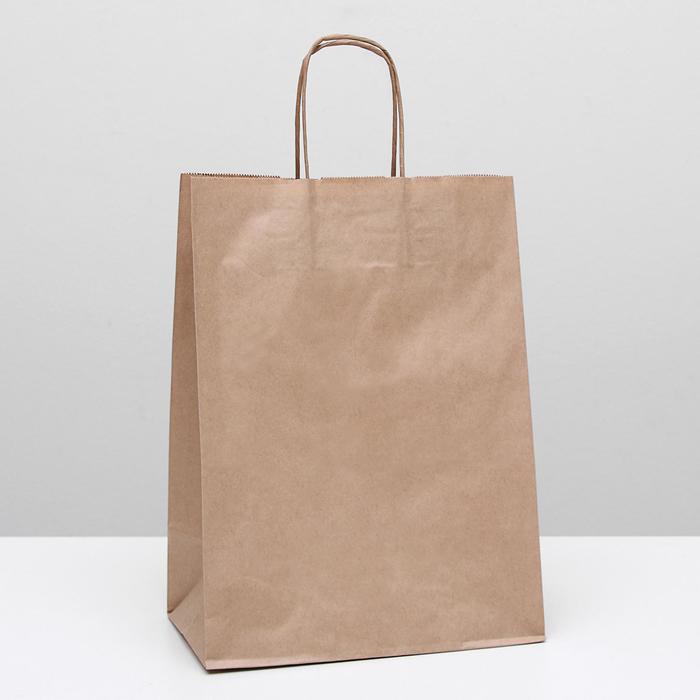 Пакет крафт 26*35 - фото 1