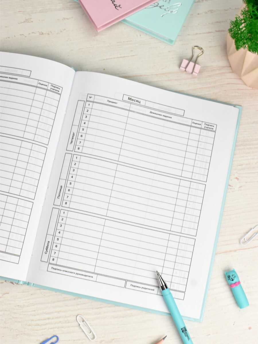 Дневник 5-11 класс Голубой Феникс - миниатюра 2