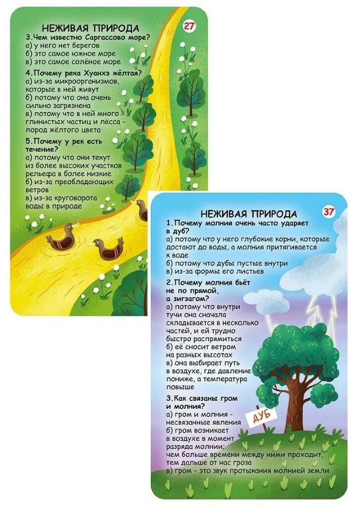 Развивающие карточки Вопросы и ответы о живой и неживой природе - миниатюра 2