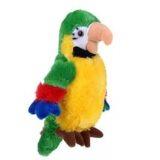  Попугай муз. - фото 1