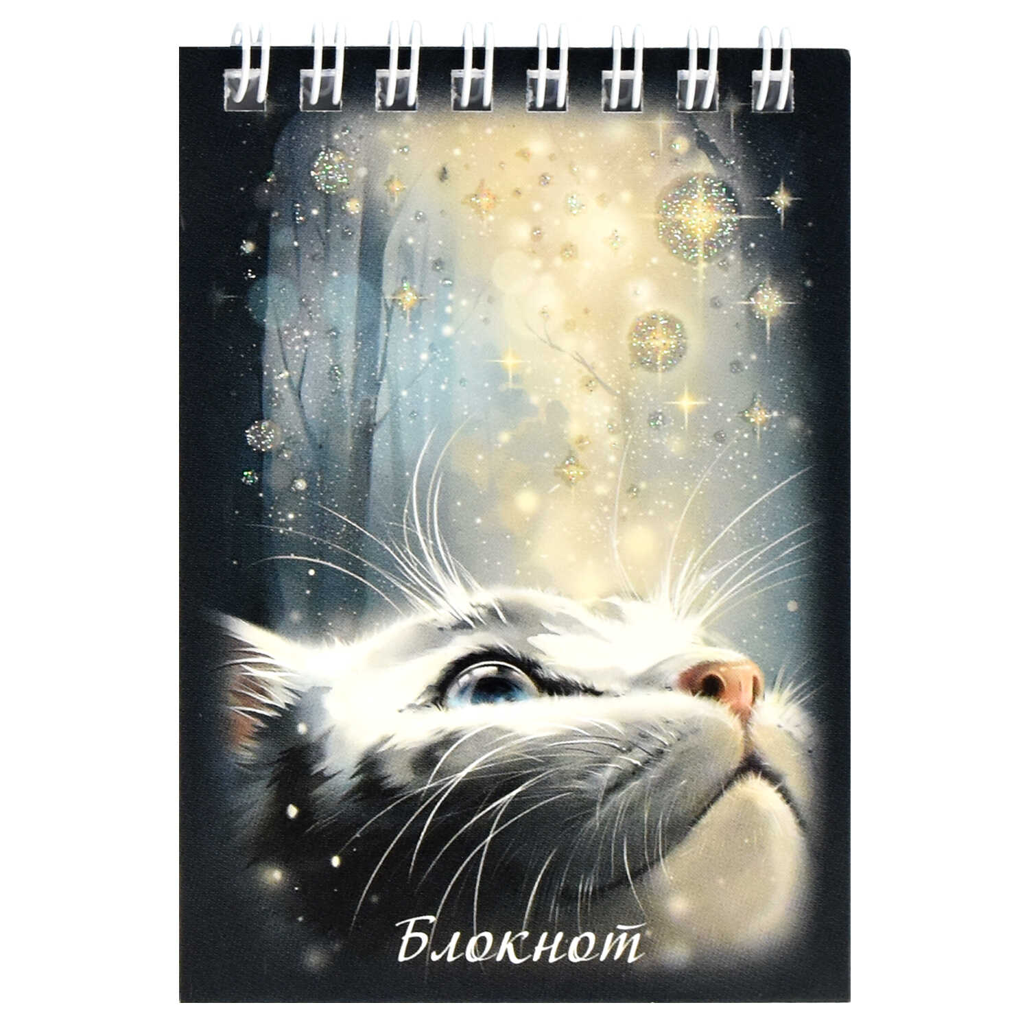 Блокнот А7 40л. Кот со звездами Феникс - фото 1