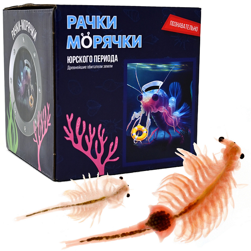 Опыт Рачки - Морячки - фото 1