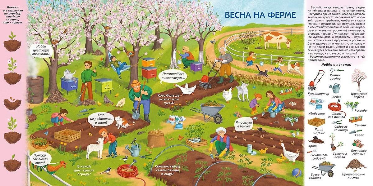 Книга Виммельбух для тренировки мозга На ферме Робинс, фото 3