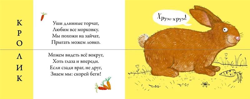 Книга Картинки - половинки Домашние животные Робинс - миниатюра 2