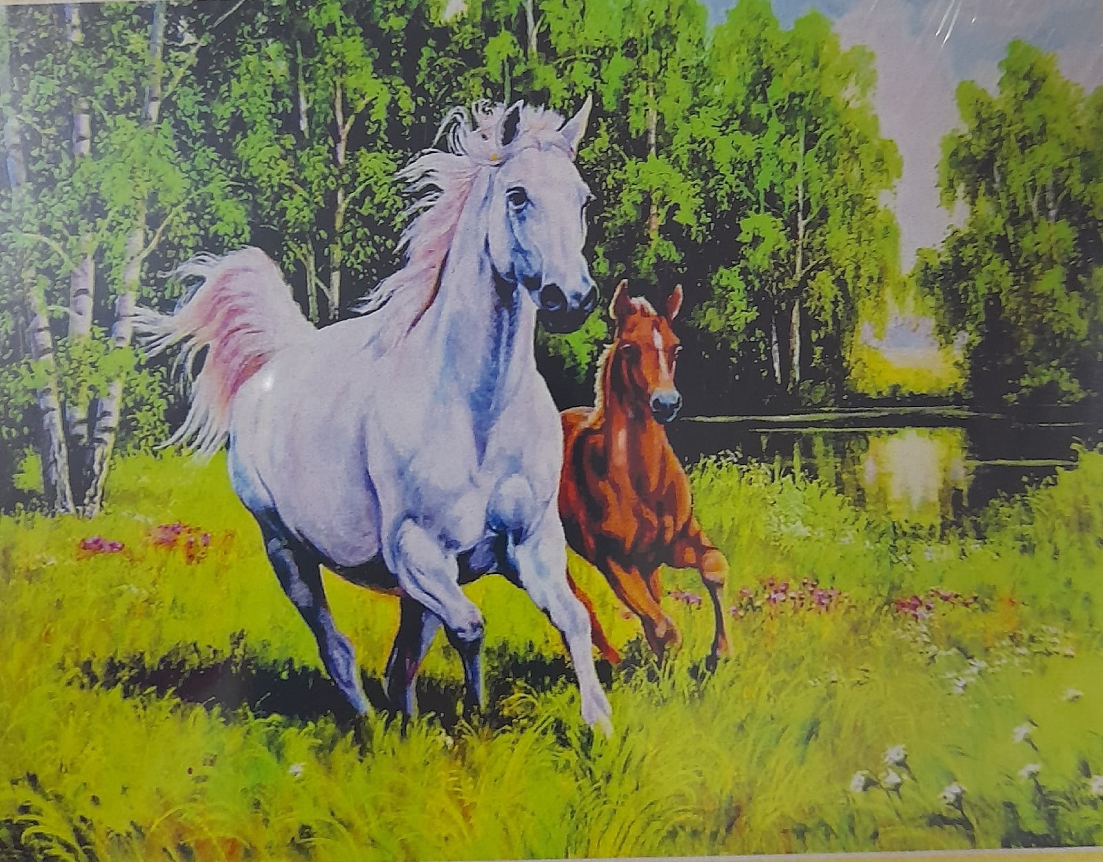 Картина стразами 40*50 Голубоглазый котенок - миниатюра 2