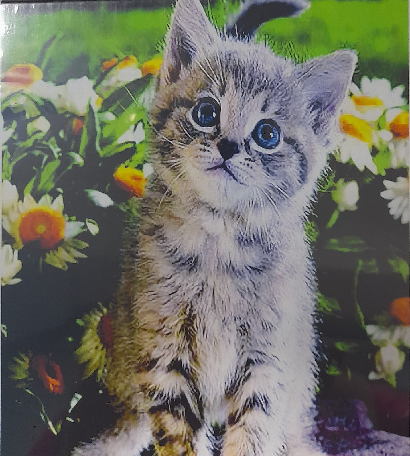 Картина стразами 40*50 Голубоглазый котенок - фото 1