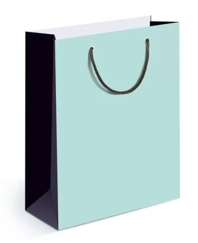 Пакет подарочный мятный 13,5*18*6 - фото 1