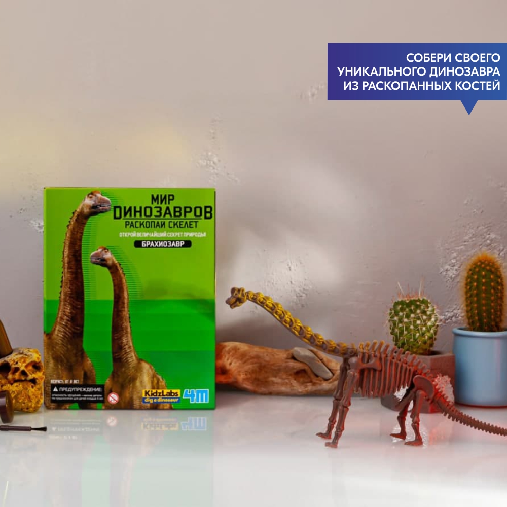 Раскопки 4М Раскопай скелет Брахиозавр - миниатюра 3