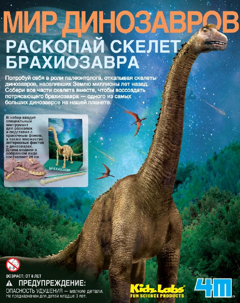 Раскопки 4М Раскопай скелет Брахиозавр - миниатюра 2