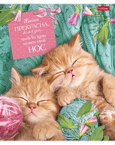 Тетрадь 40л. клетка Без кота - жизнь не та Hatber - миниатюра 2