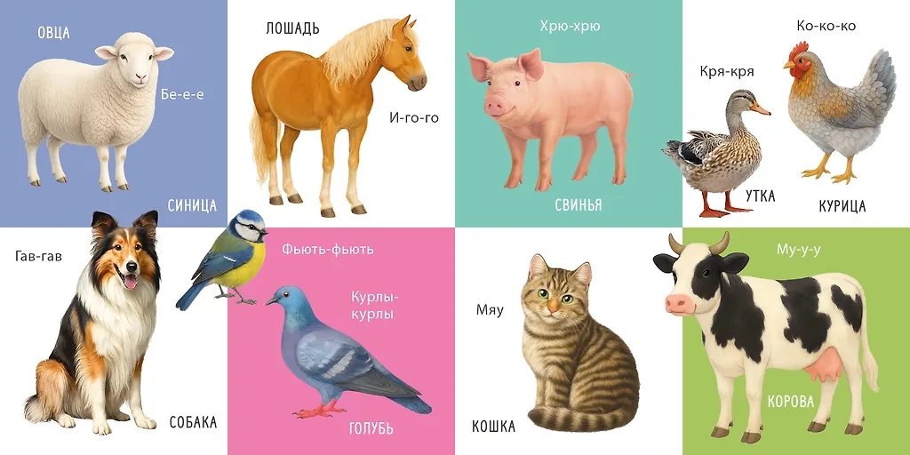 Книга - картонки 100 слов. Мои певые слова и картинки Робинс, фото 3