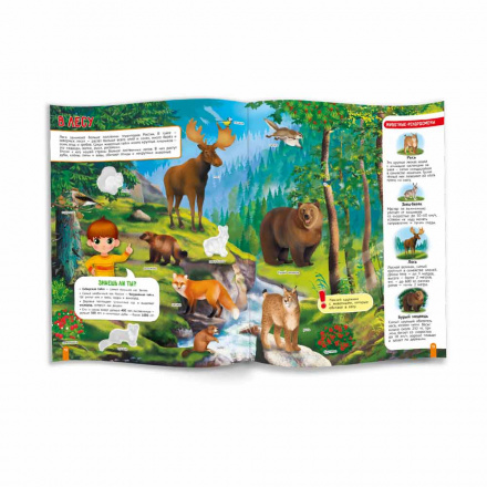 Атлас с наклейками Моя большая страна Геодом - миниатюра 3