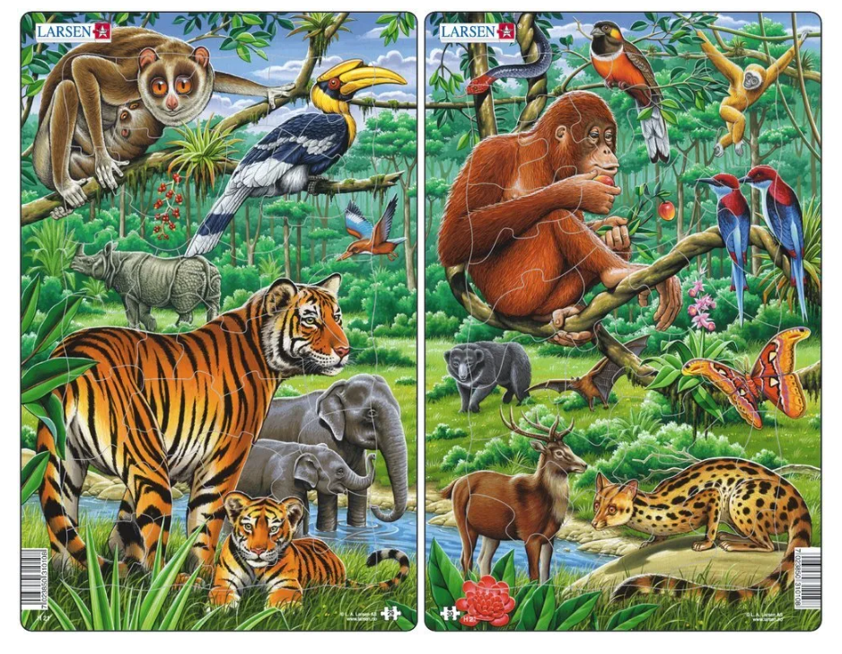 Пазл Джунгли 30 дет. LARSEN - фото 1