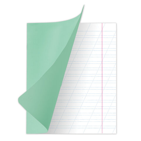 Тетрадь 12л. косая линейка Великие имена BRAUBERG (280) - миниатюра 2