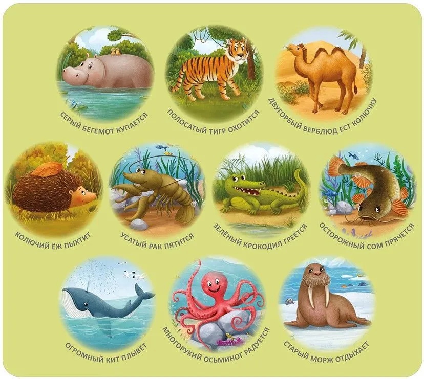 Книга Тренажер - перевертыш. Первое чтение - миниатюра 2