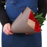  Бумага упаков.Крафт Морская полоска 50*70 - фото 1