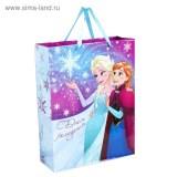  Пакет подар. Волшебного Дня Рож. Хол. сер. 31*40*11 - фото 1