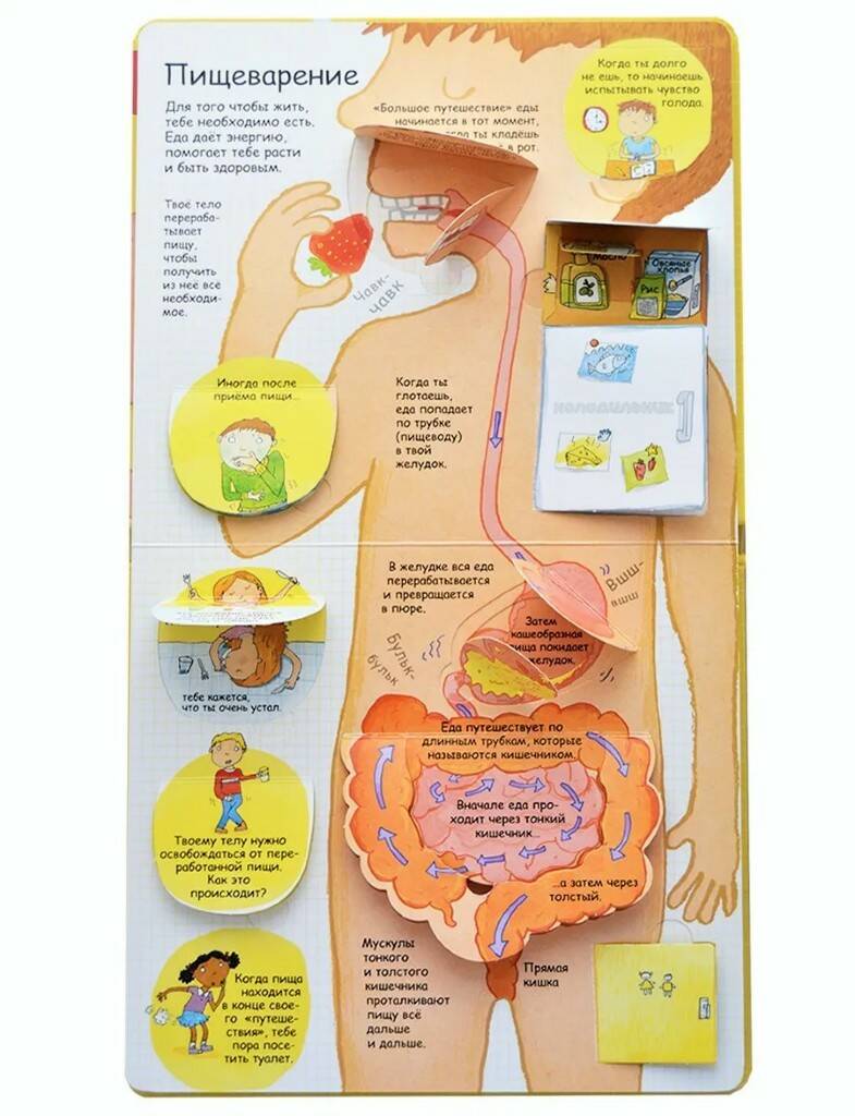 Книга Секреты человека - фото 1