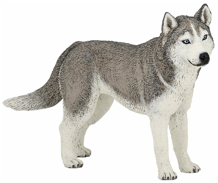 Собака Хаски Сибирская Papo - фото 1