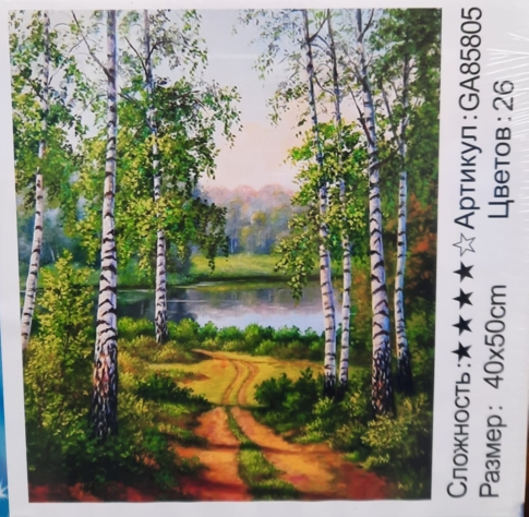 Картина стразами 40*50 Тропа - фото 1