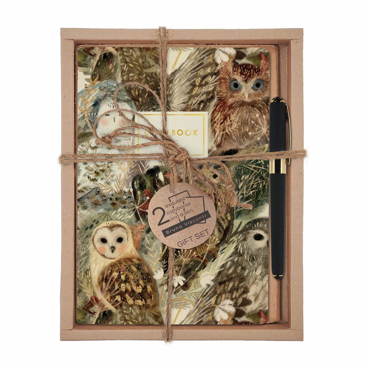 Набор тетрадь 2шт + ручка Волшебные совы Bruno Visconti - фото 1