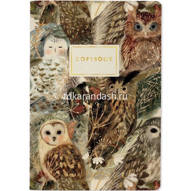 Набор тетрадь 2шт + ручка Волшебные совы Bruno Visconti - миниатюра 2