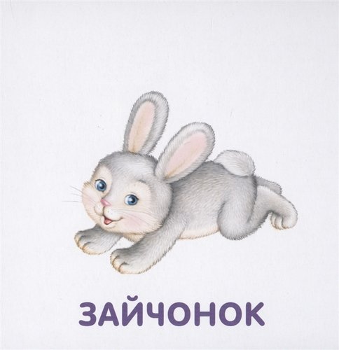 Книга - картонки Животные и детеныши Робинс - миниатюра 2