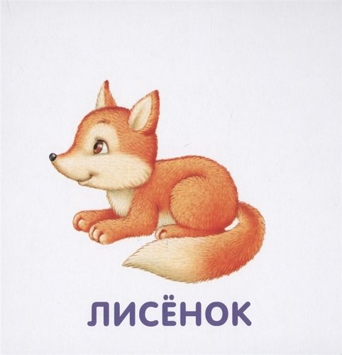 Книга - картонки Животные и детеныши Робинс - миниатюра 3