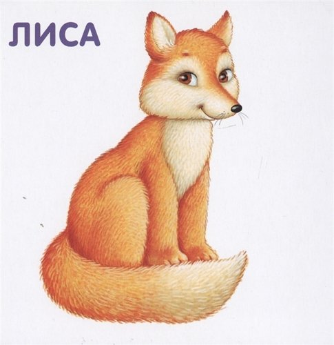 Книга - картонки Животные и детеныши Робинс - миниатюра 4