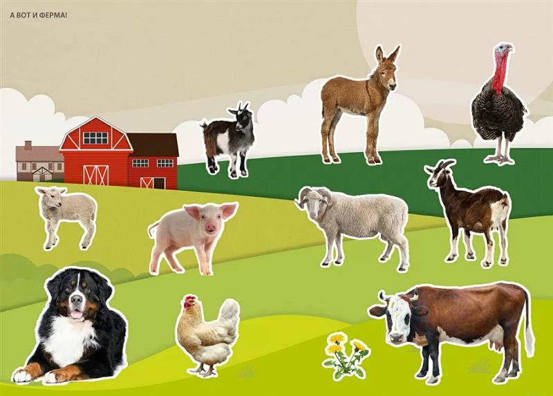 Книга с наклейками 230 наклеек Фотонаклейки. Ферма Робинс - фото 1