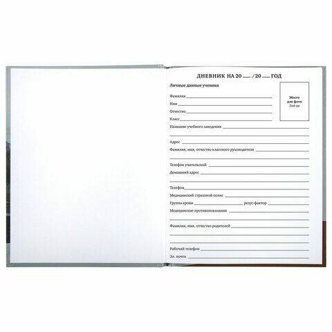 Дневник универсальный Explore BRAUBERG - миниатюра 5