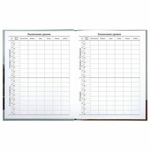 Дневник универсальный Explore BRAUBERG - миниатюра 4