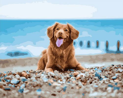 Картина по номерам 40*50 Собака на пляже - фото 1