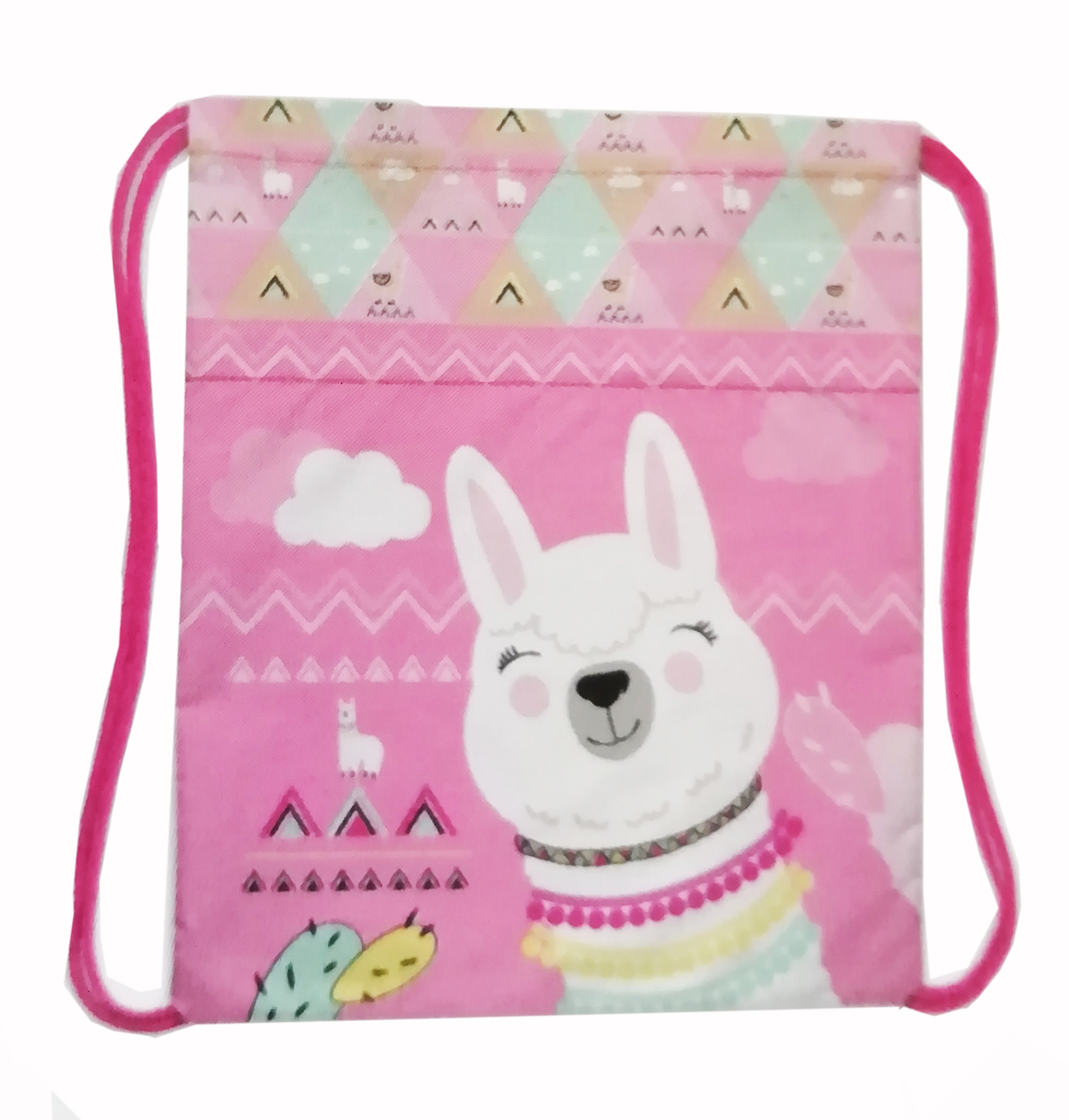 Мешок для обуви Альпака - фото 1