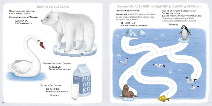 Альбом для развития мозга малыша 1+ Робинс - миниатюра 2