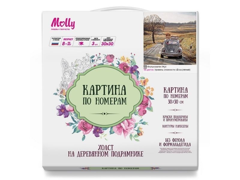 Картина по номерам 30*30 Фольксваген Жук - миниатюра 2